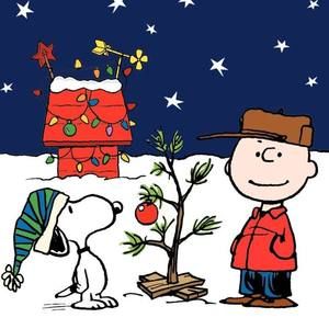 Meet your Posher, Claudine